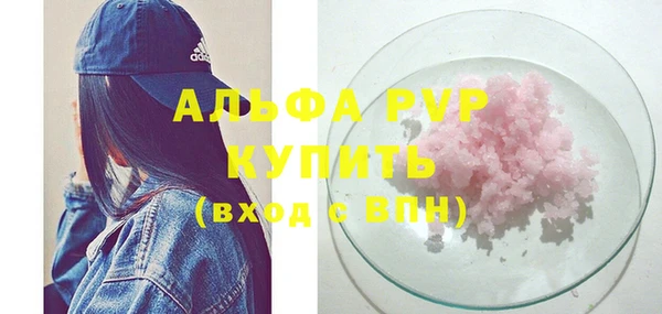молекула духа Пестово