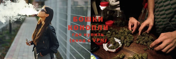 прущий лед Пересвет