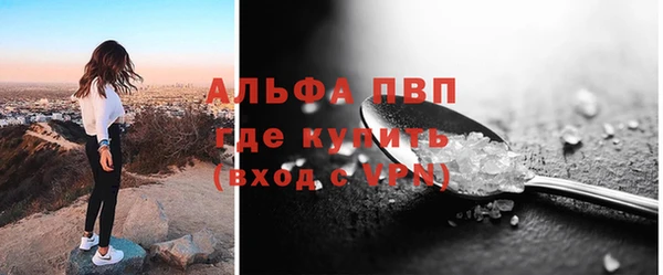 молекула духа Пестово