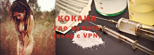 молекула духа Пестово