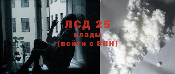 молекула духа Пестово