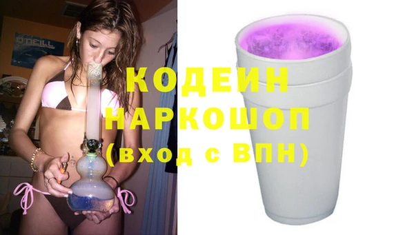 молекула духа Пестово