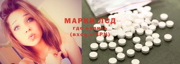 молекула духа Пестово