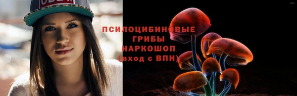 прущий лед Пересвет