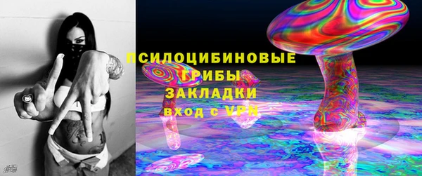 прущий лед Пересвет